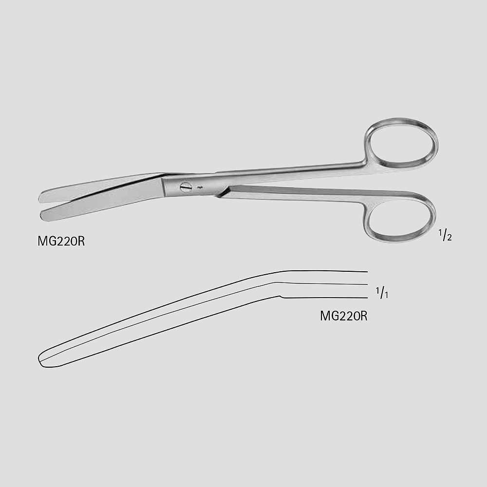 ROCHESTER-FERGUSON Scissors – Metro International